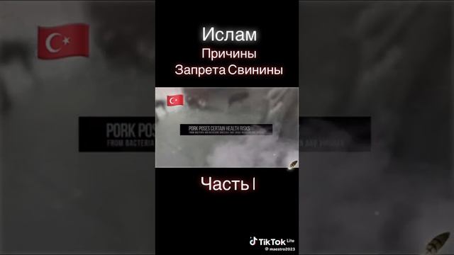 причина запрета свинины смотреть онлайн