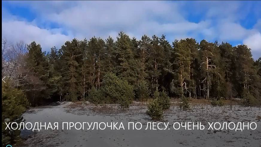 ХОЛОДНАЯ ПРОГУЛОЧКА ПО ЛЕСУ. ОЧЕНЬ ХОЛОДНО. ЛЮДИНОВО. смотреть онлайн