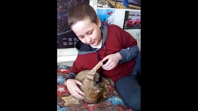 1 марта - Всемирный день кошек.