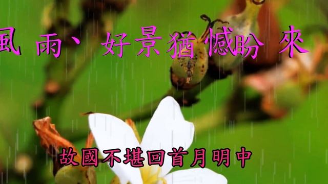 油桐花---lily смотреть онлайн