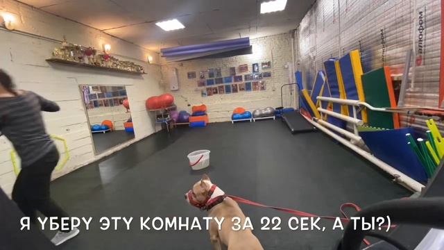 Уборка зала) смотреть онлайн