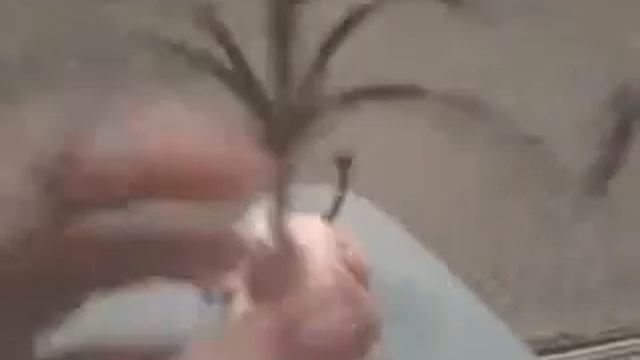 Вешалка для украшений (аніме) смотреть онлайн