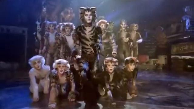 Cats ~ Who I Am смотреть онлайн