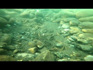 Установили камеру под водой в Черном море