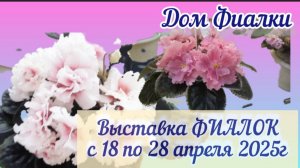 ФИАЛКИ- апрель 2025. Выставка фиалок в московском Доме ФИАЛКИ с 18 по 28.04.2025г.