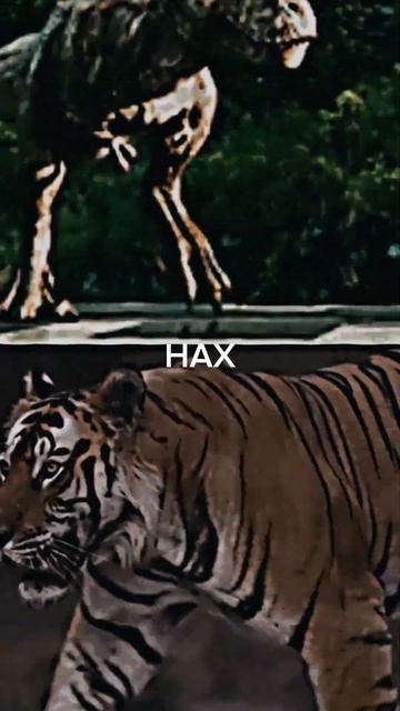 T-REX VS TIGER ULTIMATE COMPARISON #trending #youtubeshorts #comparision #animals #tiger #trex trex смотреть онлайн