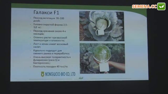 Галакси F1 капуста NongWoo Bio семинар 15.11.2016 смотреть онлайн