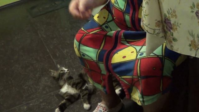 VLOG: Какое великолепное утро // мои покупки //занимаюсь уборкой и преображением жилья смотреть онлайн