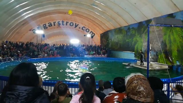 Дельфинарий