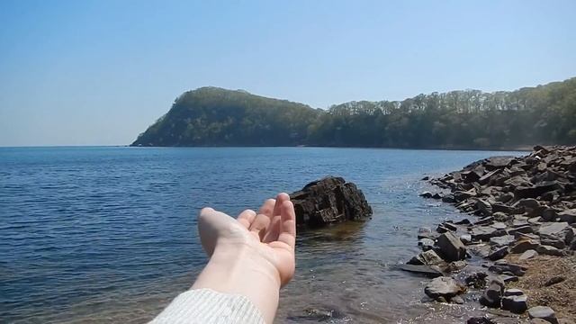 One day on the beach смотреть онлайн