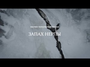 Научно-популярный фильм «Запах нерпы»