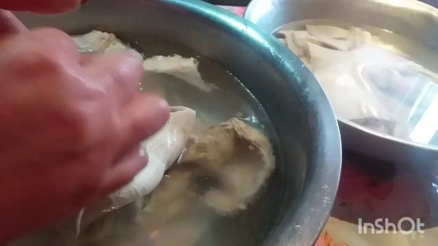 /Փոր եմ մաքրում/ խաշ եմ դնելու🐃🤦♀️