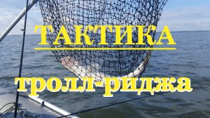 Тролридж - судак - приманки