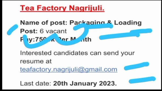 Tea Factory Nagrijuli // Assam Private Job 2023 // No Interview, Direct Joining