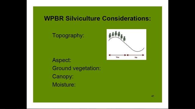 Invasive Forest Pathogens: Dr. Richard Wilson смотреть онлайн