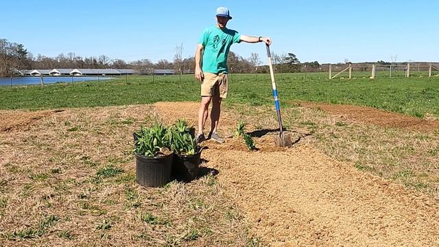 Growing a Business | Starting a Cut Flower Farm!! смотреть онлайн