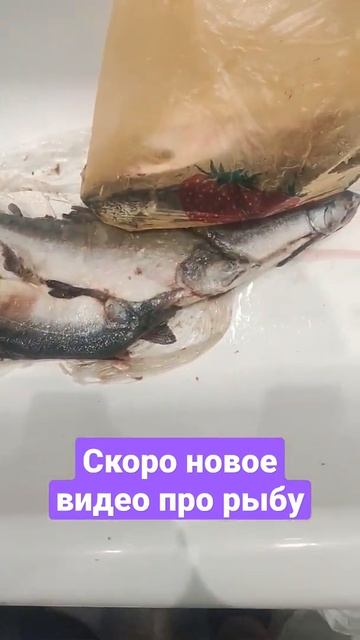 Горбуша подъехала. смотреть онлайн