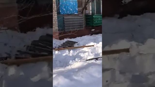 Снег с крыши повредил газ.трубу на Школьной, д. 2 (Подлесное) смотреть онлайн