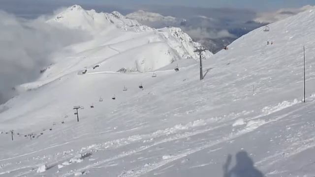 Посчастливилось