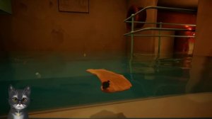 СЕЙЧАС КАК КУСЬНУ! ГЕННАДИЙ стал ПИРАНЬЕЙ в ИГРЕ I AM FISH! #6