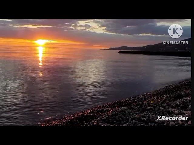 мы родились в сибири//дорогой подарок//обзор канала смотреть онлайн