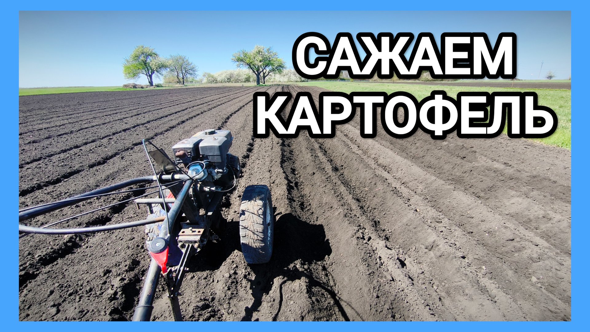 ПОСАДКА КАРТОФЕЛЯ под МОТОБЛОК от А до Я! смотреть онлайн