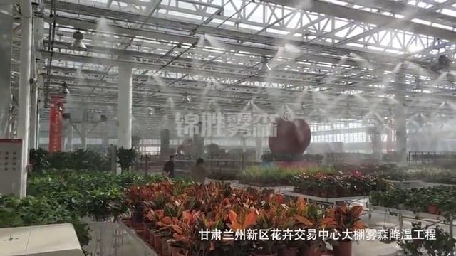Fogger irrigation in the greenhouse | Nebufly Fog Misting System смотреть онлайн