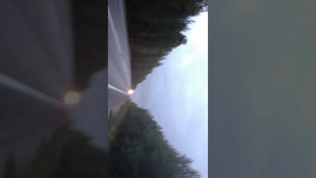 идем на прогулке