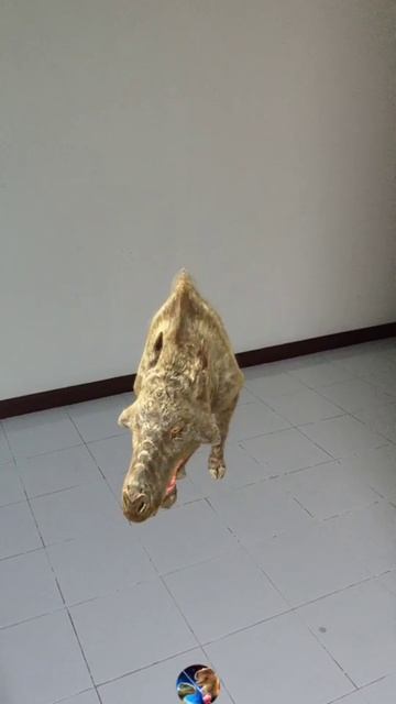 Daeodon Cretaceous © African Warthogs