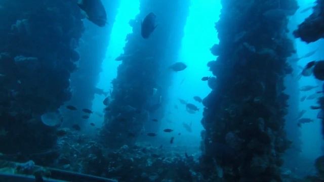 Oil Rig Ellen on an ISC Megalodon February 7, 2015 смотреть онлайн