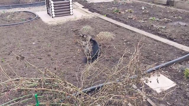 Люська-огородница!🤗👋 смотреть онлайн