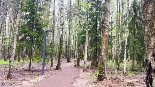 Какого черта разлеглась? Иди к плите готовить. Степан разбудил приболевшую жену.