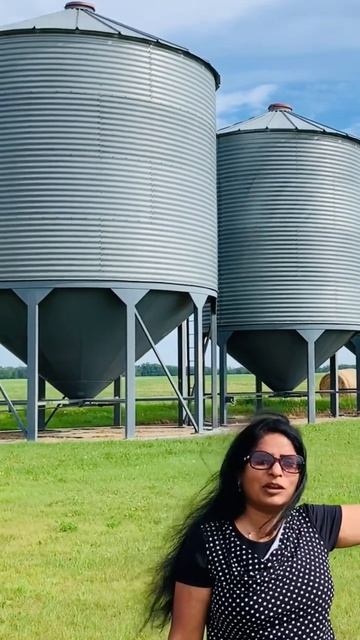 Silo for grain storage Canada #short #shortvideo #shortsvideo смотреть онлайн