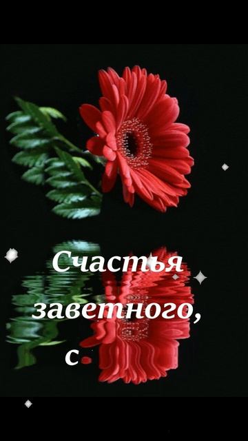 С праздником прекрасных женщин!