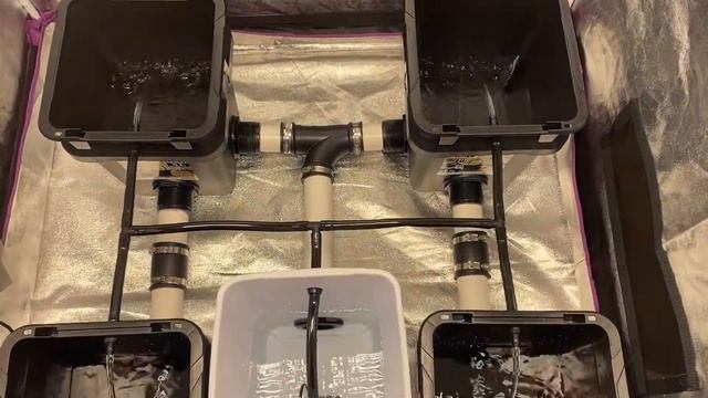 RDWC system fits in a 4x4 tent with res. waterfall effect hydroponics 4 plant site смотреть онлайн
