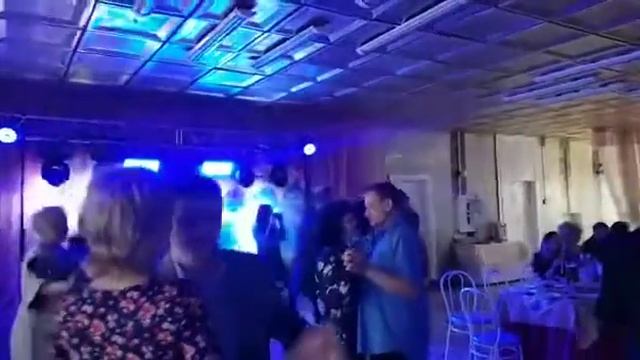 Белый лебедь на пруду смотреть онлайн