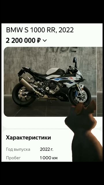 Нынешние цены на мотоциклы Bmw 😀 #automobile #automobile #moto #motorcycle #bmw #moto #roadtrip