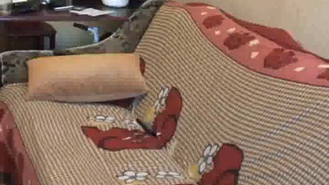 Задержание киллера во Владивостоке смотреть онлайн