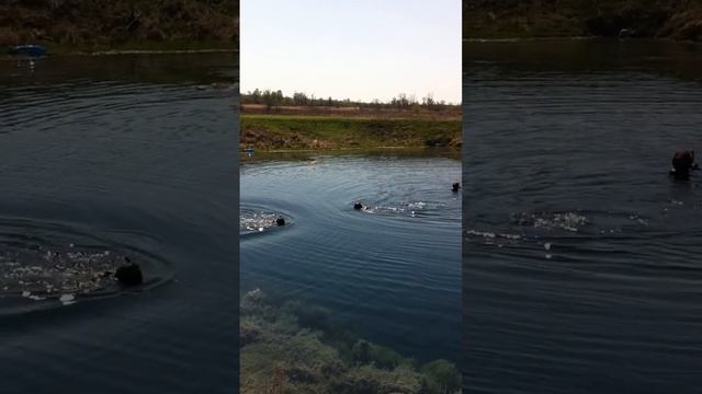 Победный нырок смотреть онлайн