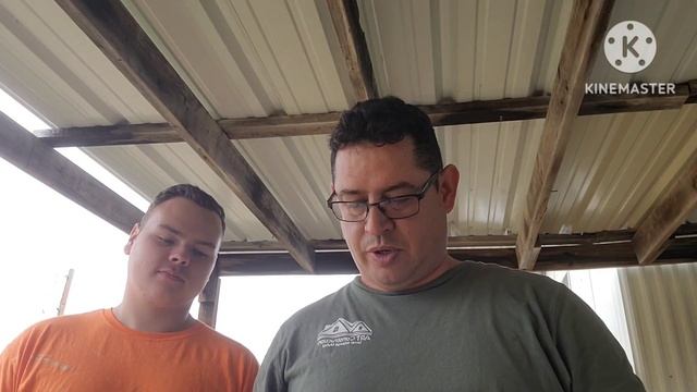 Replacing the spark plugs on a 2005 mustang gt 4.6 lt смотреть онлайн