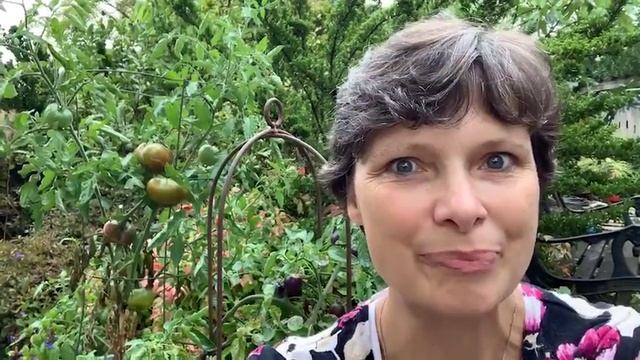 Tomato Contest смотреть онлайн