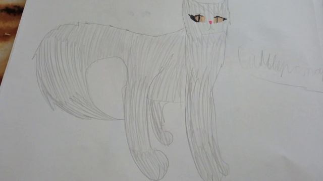 Брат Хидери Волкостар и мать братьев Сильверстар и Школа Котиков номер 146 смотреть онлайн