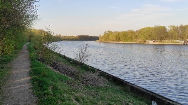 За что Курганские убили лидера Коптевских.