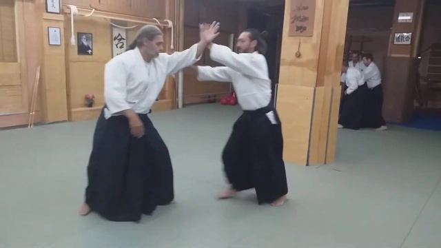 Aikido zanshin training - part 2 смотреть онлайн