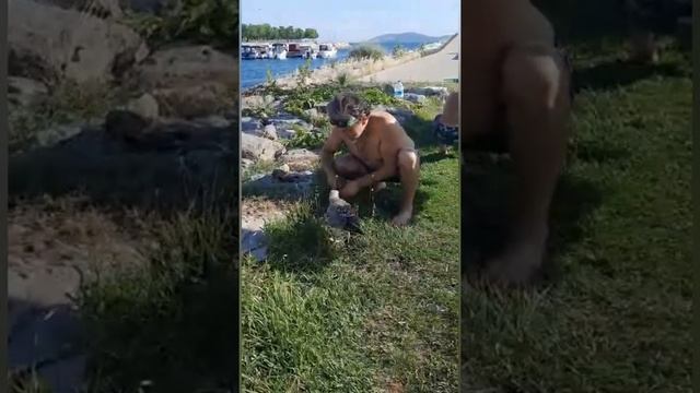 PANJABI MC - Mirza смотреть онлайн