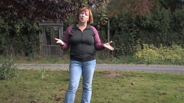 Garden & Lawn Pest Control : How to Identify Worms That Are Damaging Your Lawn смотреть онлайн
