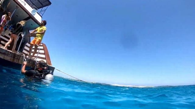 Hurghada Diving Хургада дайвинг 04 2021 2/2 смотреть онлайн