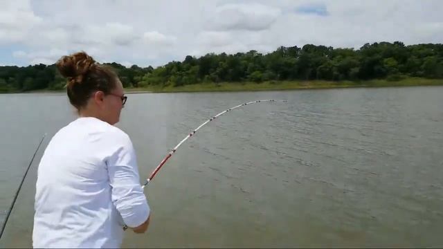Red Rock Lake Live Lunch Time Cattin! смотреть онлайн