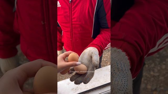 Подарок на ДР сыну смотреть онлайн