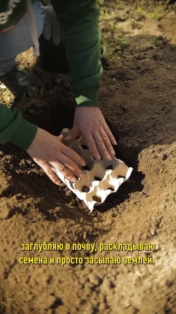 Вся редиска будет крупная, ровная, одна в одну! А еще сладкая и очень вкусная! Как сеять редис смотреть онлайн